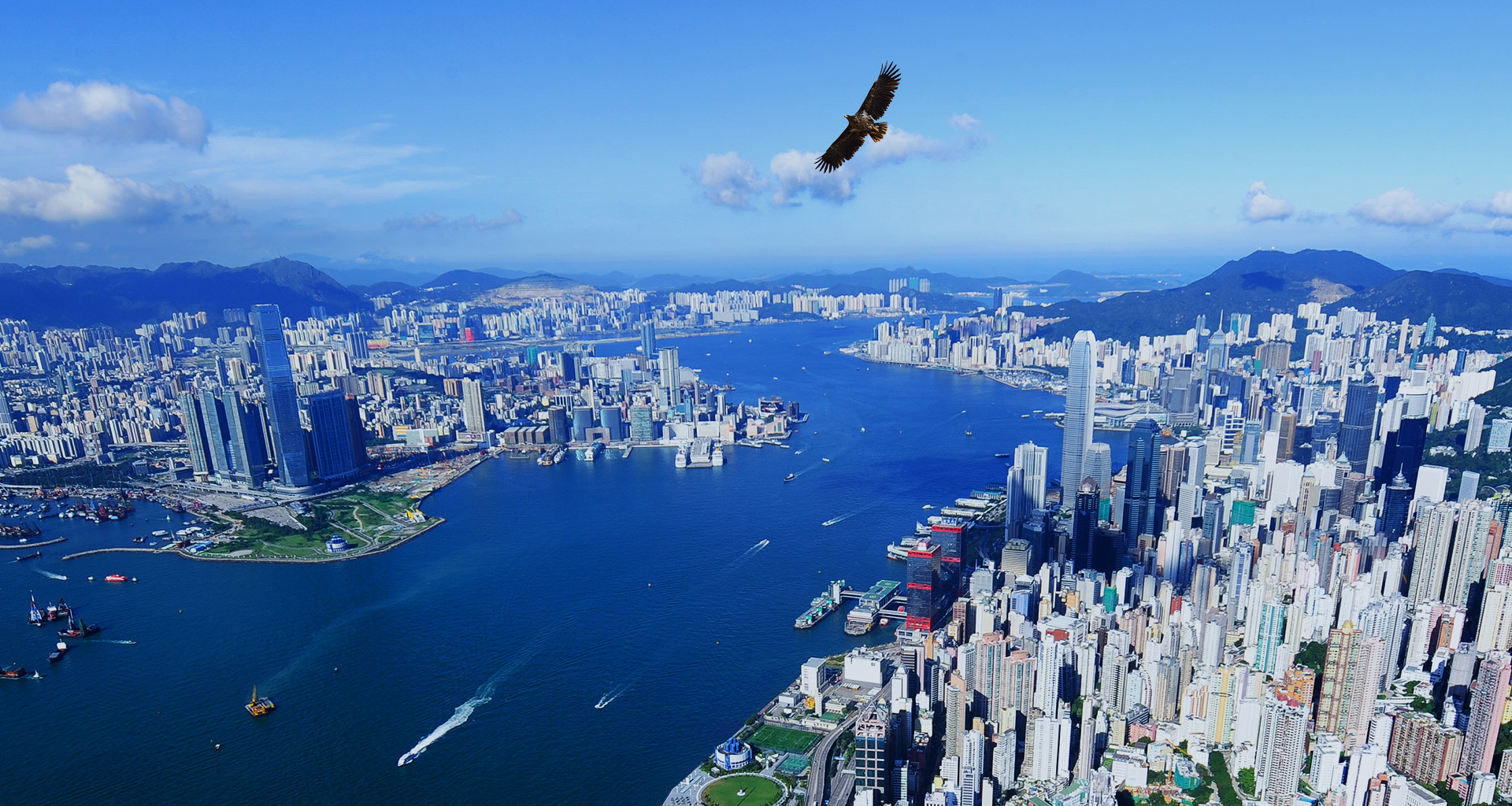 SFC Corporate Website