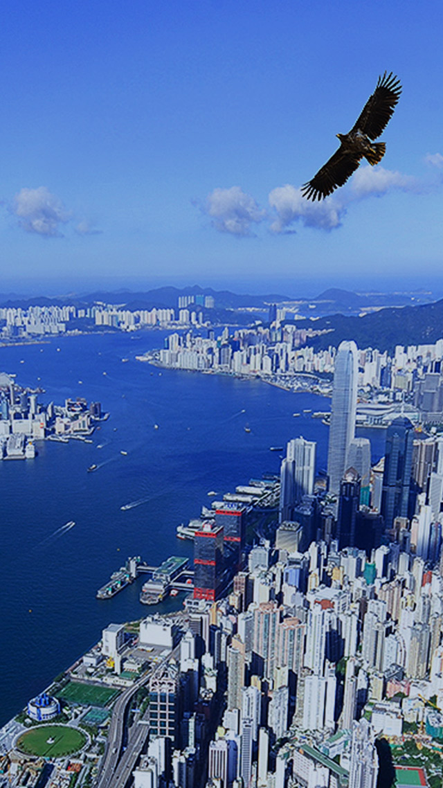 SFC Corporate Website